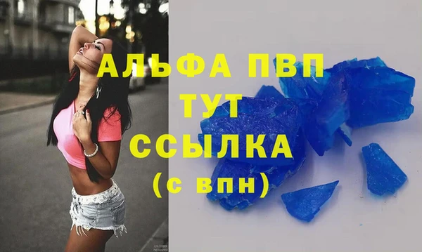 индика Армянск