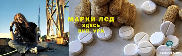 индика Армянск