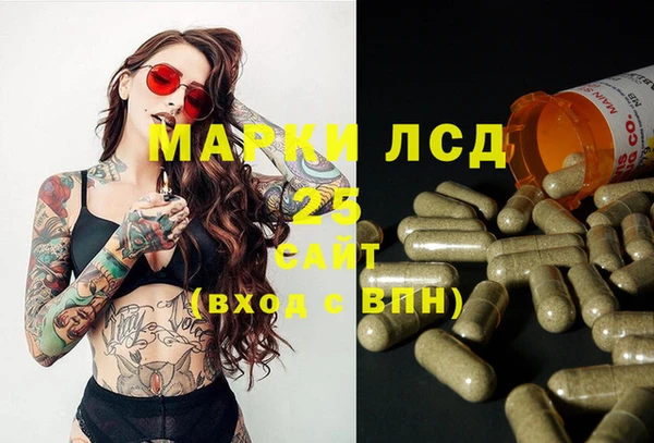 индика Армянск