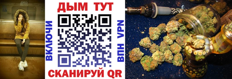 Конопля план  Озёрск 
